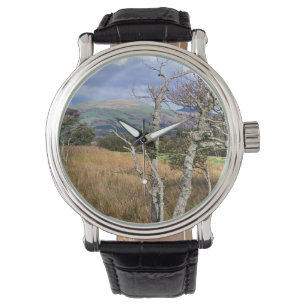 MONTRE VUES DES ALLES
