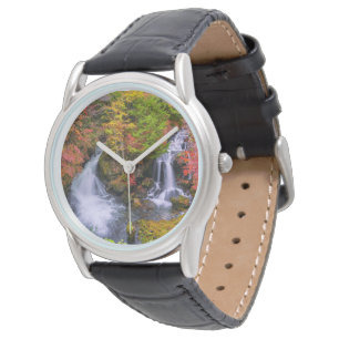 Montre Waterfalls   Faucet Waterfalls Nikko Japan Fall