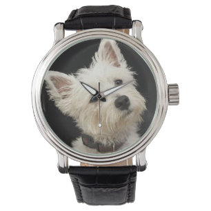 Montre Westie (West Highland terrier) avec col