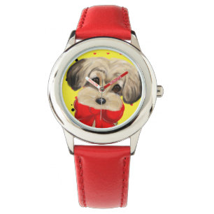 MONTRE YORKIE POO