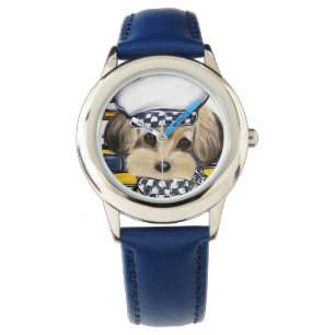 MONTRE YORKIE POO