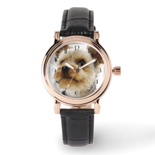 Montre Yorkshire Terrier