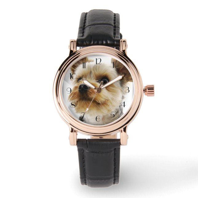 Montre Yorkshire Terrier (Recto)