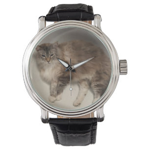 Montres Chat
