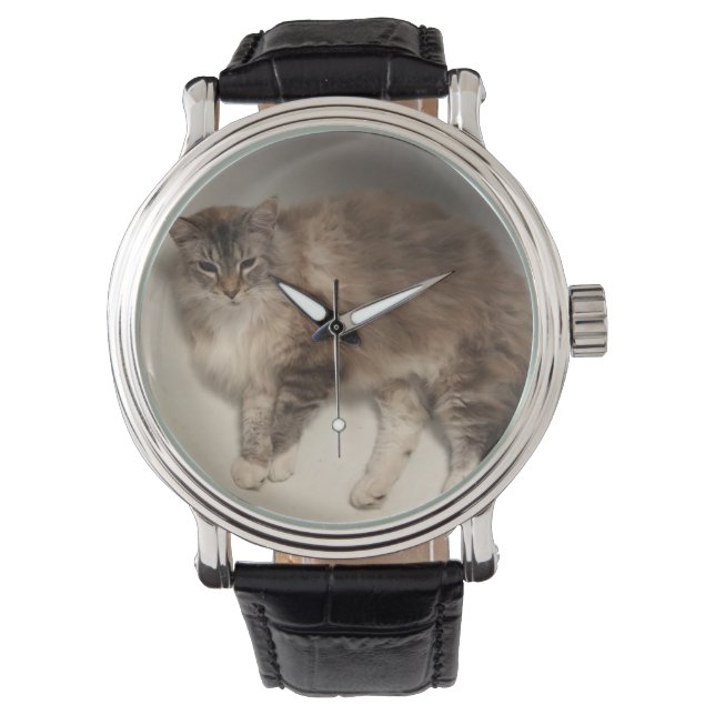 Montres Chat (devant)