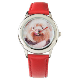Montres de chien mignonne