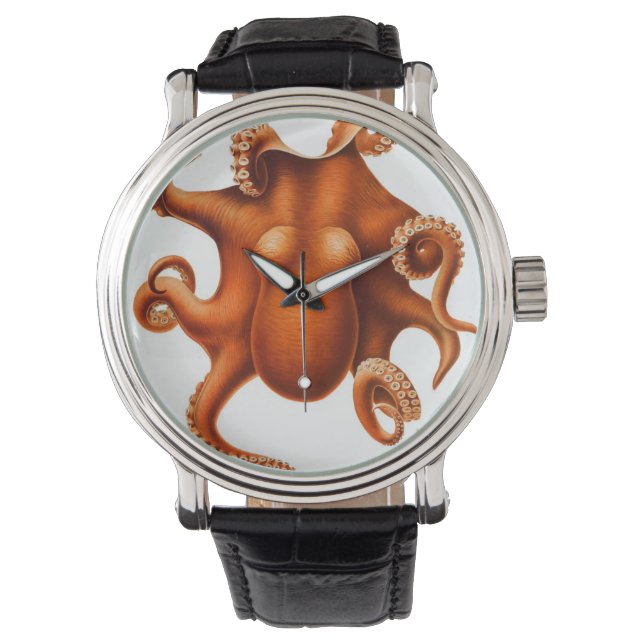Montres Octopus vintages (devant)