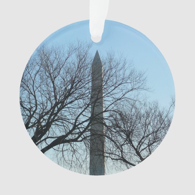 Monument de Washington dans le paysage d'hiver I (devant)