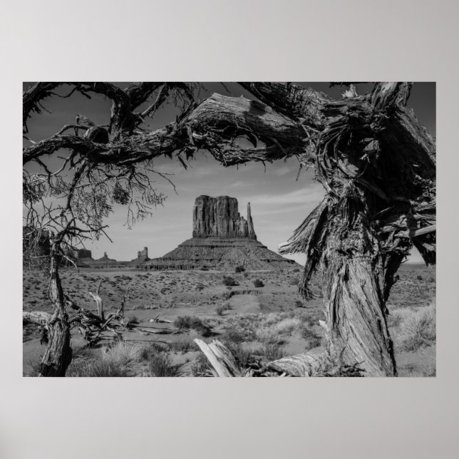 Monument Valley Schwarz-Weiß Poster (Vorne)