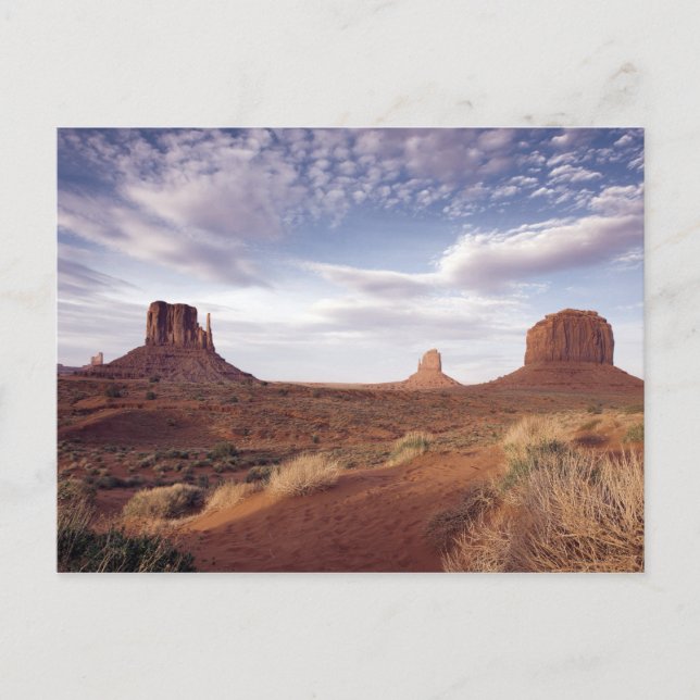 Monument Valley View, Arizona Postkarte (Vorderseite)