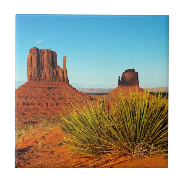 Monumental, Arizona Fliese (Vorderseite)