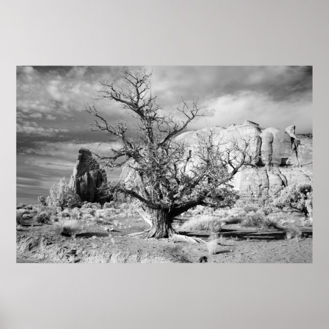 Monumental Poster (Vorne)