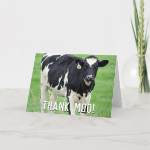 Moo Cow Danke Karte