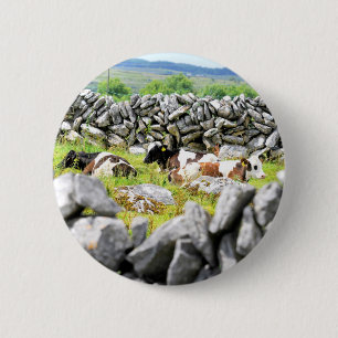 Moo Cows Button