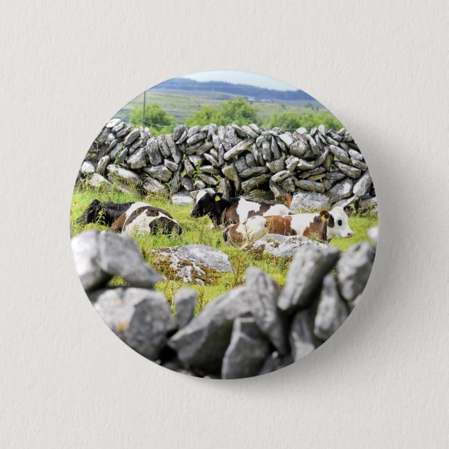Moo Cows Button (Vorderseite)