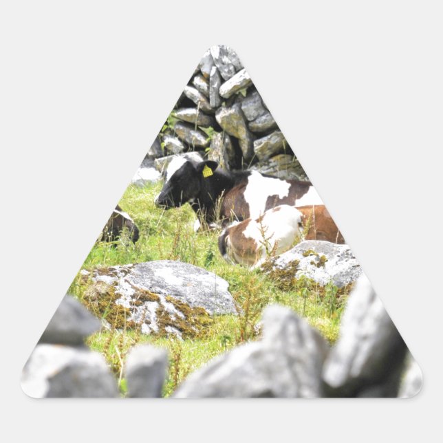 Moo Cows Dreieckiger Aufkleber (Vorderseite)