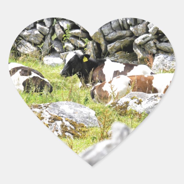 Moo Cows Herz-Aufkleber (Vorderseite)