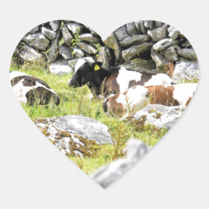 Moo Cows Herz-Aufkleber