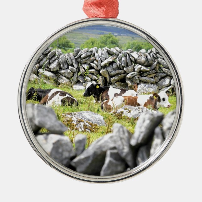 Moo Cows Ornament Aus Metall (Vorne)