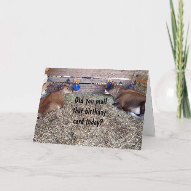 MOO COWS SPRECHEN ÜBER IHREN GEBURTSTAG-WÜNSCHEN KARTE (Vorderseite)