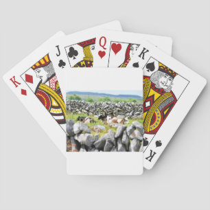 Moo Kühe Spielkarten