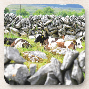 Moo Kühe Untersetzer