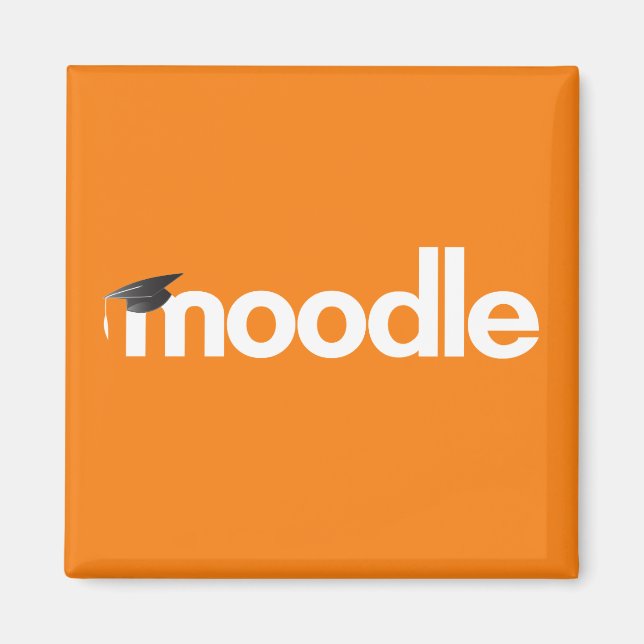 Moodle Magnet: Orange Magnet (Vorne)