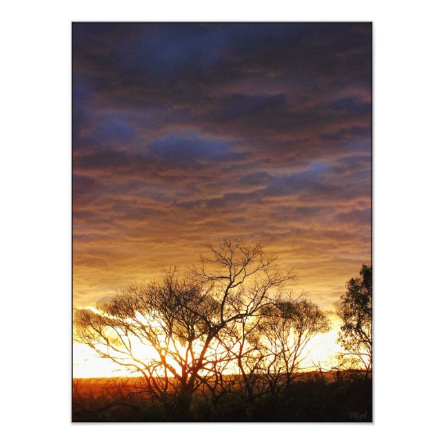 Moodscapes : Vivre Photo Art (Devant)