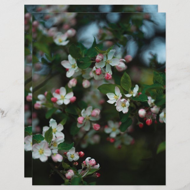 Moody apple tree blooms Scrapbook Paper (Vorne/Hinten)