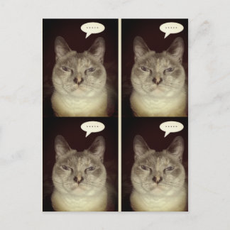 Moody Cat Postkarte