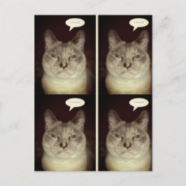 Moody Cat Postkarte