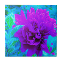 Moody Lila Peony mit Beautiful Weigela Foliage