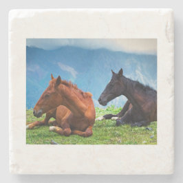 Moody Mountain Horses: Eine Reise in die feine Kun Steinuntersetzer