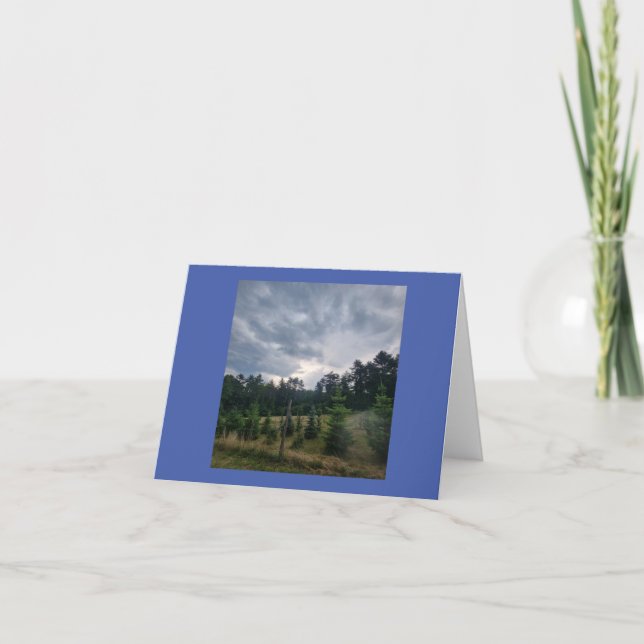 Moody sky and Pines Karte (Vorderseite)
