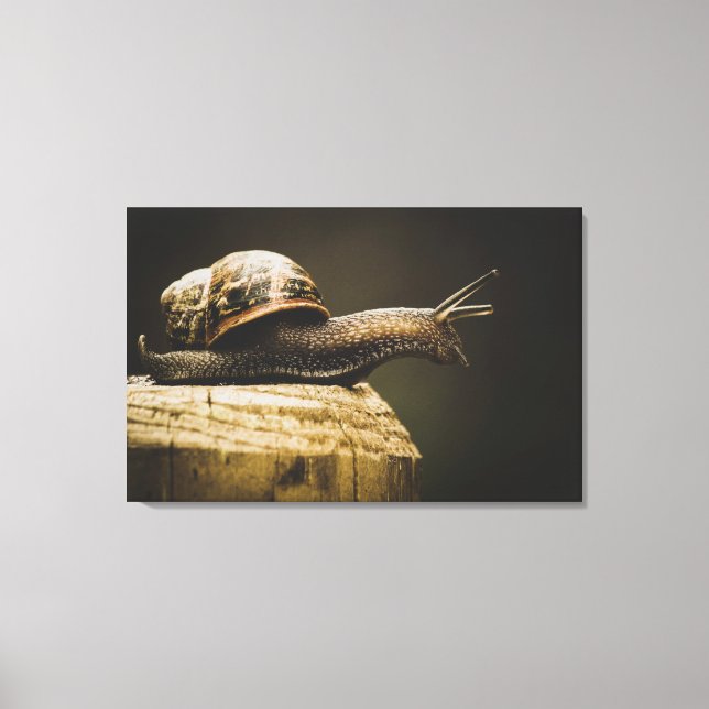 Moody Snail, Ralentir, Impression d'art en toile (Recto)