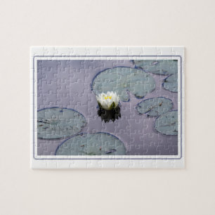 Moody Water Lily mit Grenze