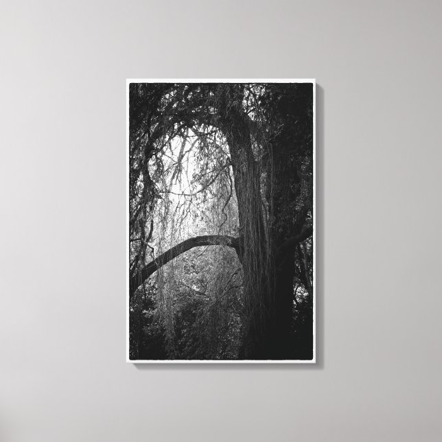Moody Willow Tree Black and White Landscape Foto Leinwanddruck (Vorderseite)