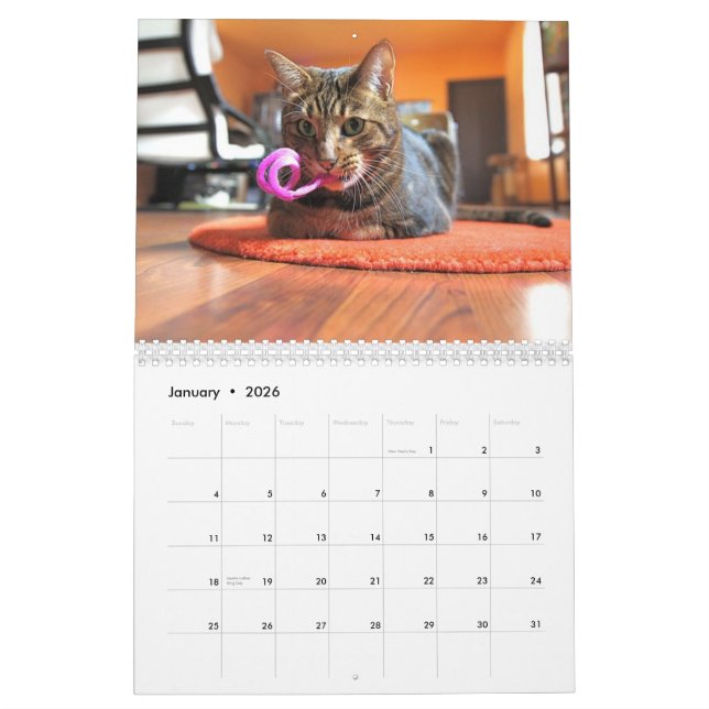 Mooki u. Kiko 2010 Kalender (Jan 2026)