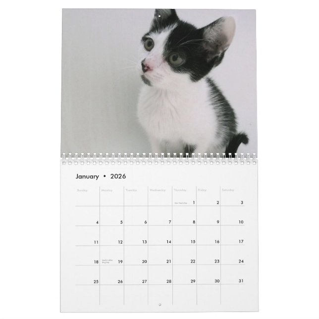 Mooki u. Kiko Kalender (Jan 2026)