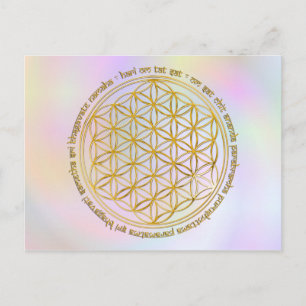 Moola Mantra / Blume des Lebens Pastell Postkarte