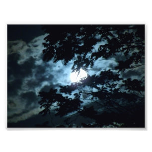 Moon beleuchtet die Nacht hinter Baumzweigen Fotodruck