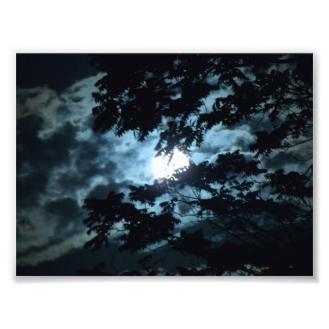 Moon beleuchtet die Nacht hinter Baumzweigen Fotodruck (Vorne)