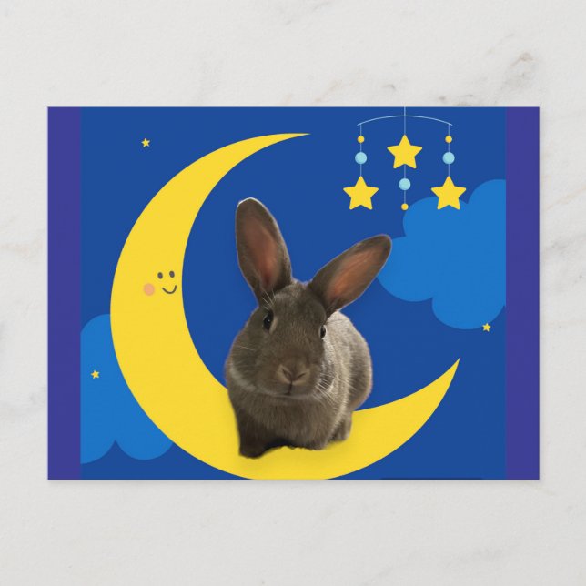 Moon Bunny Postkarte (Vorderseite)