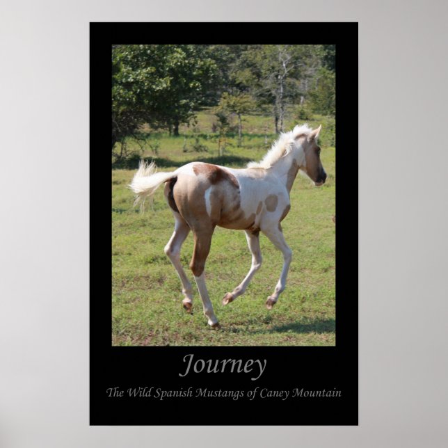 "Moon Dancer" poster - Journey (Vorne)