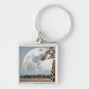 Moon das Steigen über eine Gruppe der Giraffe in Schlüsselanhänger