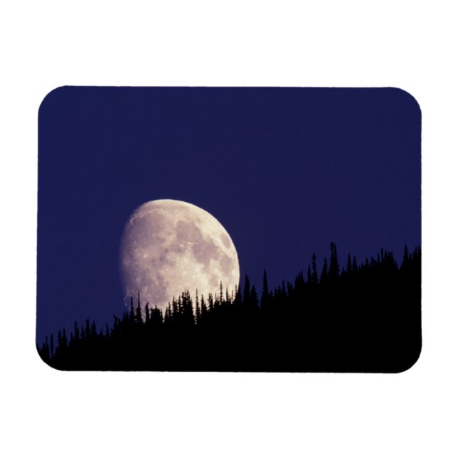 Moon & Forest | Glacier Nationalpark Montana Magnet (Horizontal)