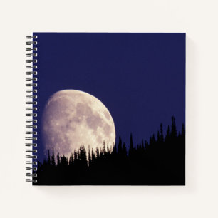 Moon & Forest   Glacier Nationalpark Montana Notizbuch