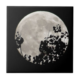 Moon hinter dunklen Blätter Fliese