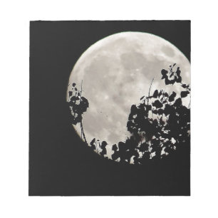 Moon hinter dunklen Blätter Notizblock