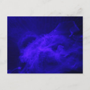 Moon Jellyfish # 12 Postkarte